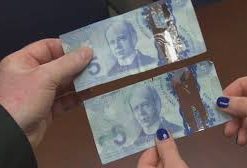 Buy Fake 5 Canadian Dollars Online