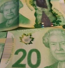 Buy Fake 20 Canadian Dollars
