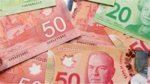 Counterfeit 50 Canadian Banknotes
