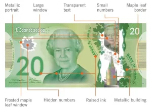 features of polymer banknotes