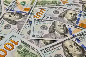 Fake USD Dollar Bills